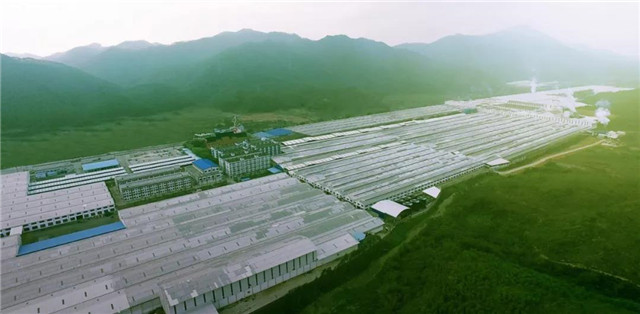 羞羞的网站免费观看陶瓷集團綠色黄色羞羞网站在线观看工廠
